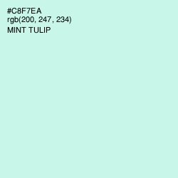 #C8F7EA - Mint Tulip Color Image