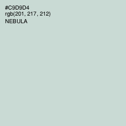 #C9D9D4 - Nebula Color Image