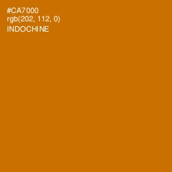 #CA7000 - Indochine Color Image
