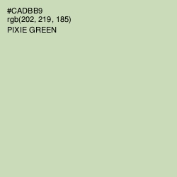#CADBB9 - Pixie Green Color Image
