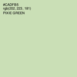#CADFB5 - Pixie Green Color Image