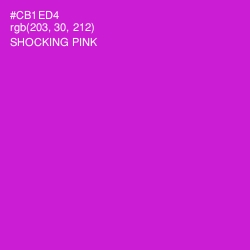 #CB1ED4 - Shocking Pink Color Image