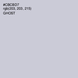 #CBCBD7 - Ghost Color Image