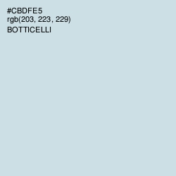 #CBDFE5 - Botticelli Color Image