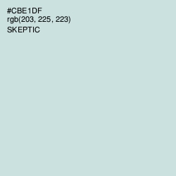 #CBE1DF - Skeptic Color Image