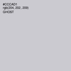 #CCCAD1 - Ghost Color Image