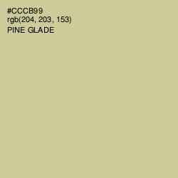 #CCCB99 - Pine Glade Color Image