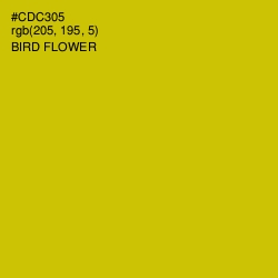 #CDC305 - Bird Flower Color Image