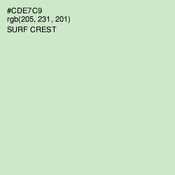 #CDE7C9 - Surf Crest Color Image