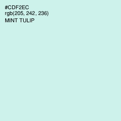 #CDF2EC - Mint Tulip Color Image