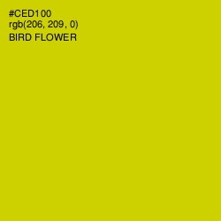#CED100 - Bird Flower Color Image