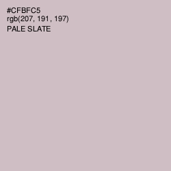 #CFBFC5 - Pale Slate Color Image