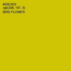 #D0C505 - Bird Flower Color Image