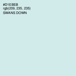 #D1EBEB - Swans Down Color Image