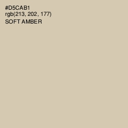 #D5CAB1 - Soft Amber Color Image