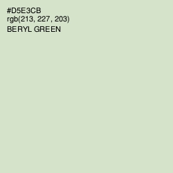 #D5E3CB - Beryl Green Color Image