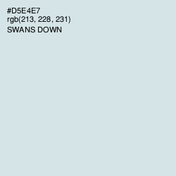 #D5E4E7 - Swans Down Color Image