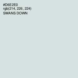 #D6E2E0 - Swans Down Color Image