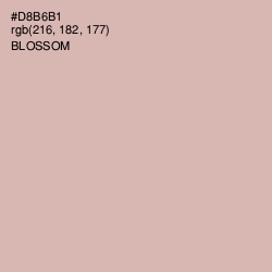 #D8B6B1 - Blossom Color Image