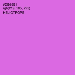 #DB69E1 - Heliotrope Color Image
