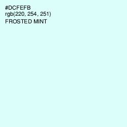 #DCFEFB - Frosted Mint Color Image
