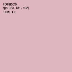 #DFB5C0 - Thistle Color Image