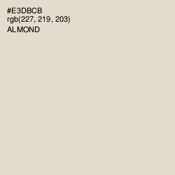#E3DBCB - Almond Color Image