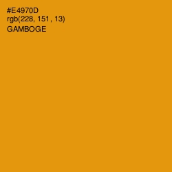 #E4970D - Gamboge Color Image