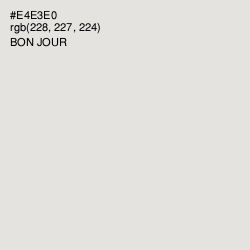 #E4E3E0 - Bon Jour Color Image