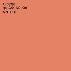 #E58263 - Apricot Color Image
