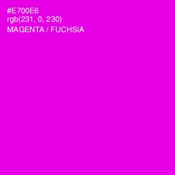 #E700E6 - Magenta / Fuchsia Color Image