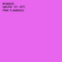 #E865ED - Pink Flamingo Color Image