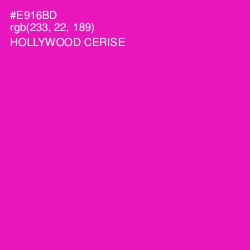 #E916BD - Hollywood Cerise Color Image