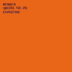 #E96619 - Christine Color Image