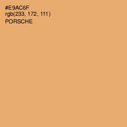 #E9AC6F - Porsche Color Image