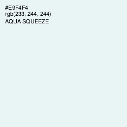#E9F4F4 - Aqua Squeeze Color Image