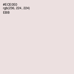 #ECE0E0 - Ebb Color Image