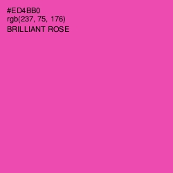#ED4BB0 - Brilliant Rose Color Image