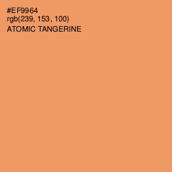 #EF9964 - Atomic Tangerine Color Image
