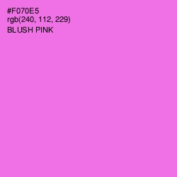 #F070E5 - Blush Pink Color Image