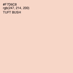#F7D6C8 - Tuft Bush Color Image