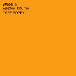 #F99B13 - Tree Poppy Color Image