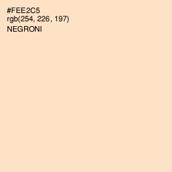#FEE2C5 - Negroni Color Image