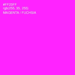 #FF23FF - Magenta / Fuchsia Color Image