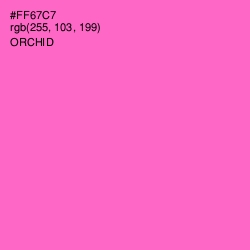 #FF67C7 - Orchid Color Image