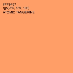 #FF9F67 - Atomic Tangerine Color Image