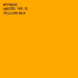 #FFA900 - Yellow Sea Color Image