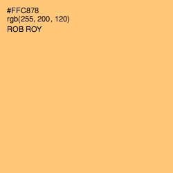 #FFC878 - Rob Roy Color Image