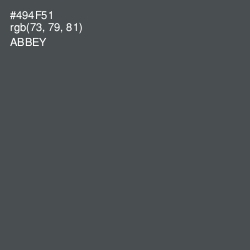 #494F51 - Abbey Color Image