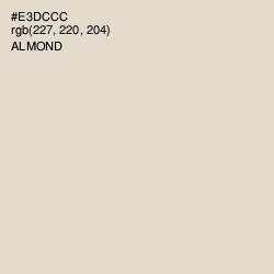 #E3DCCC - Almond Color Image